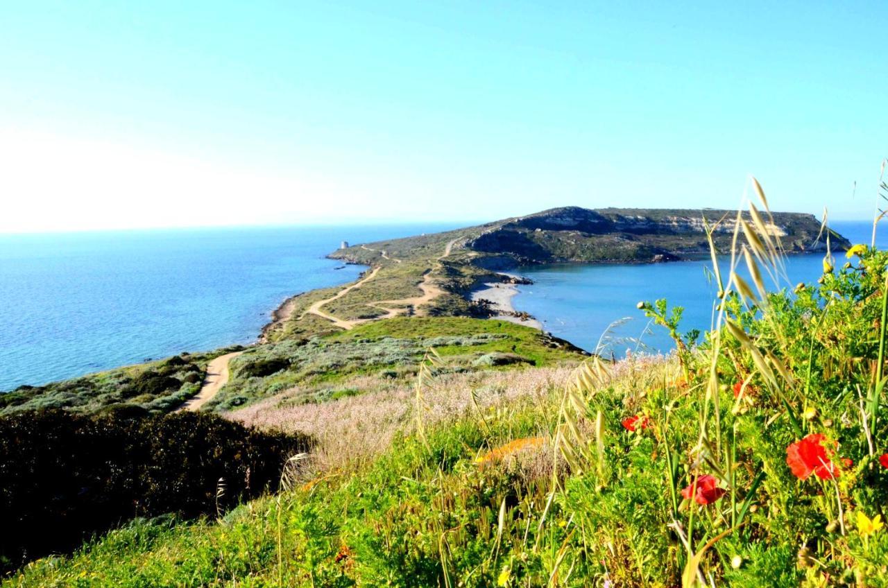 Agriturismo S'Incant'E Sinis San Salvatore  Exteriér fotografie